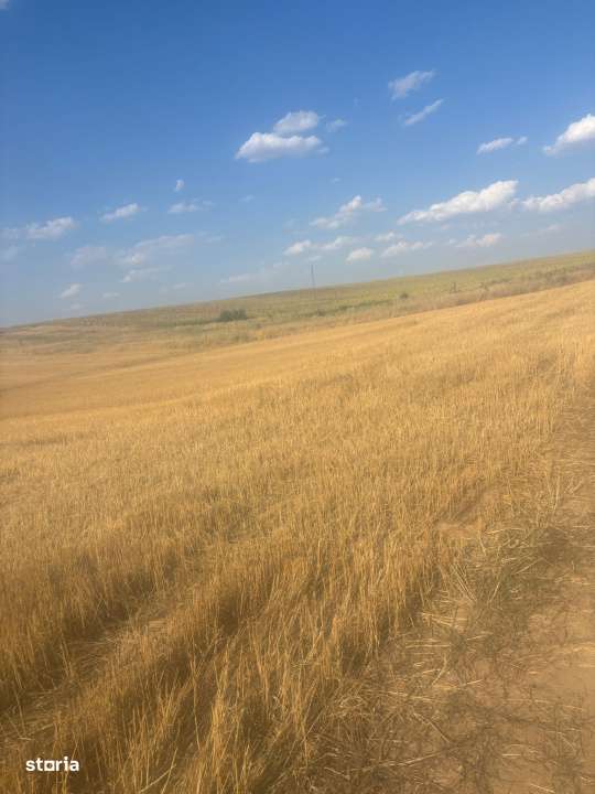 Teren intravilan, 500mp, zona Malu Mare, comision 0% - Imagine principală: 4/6