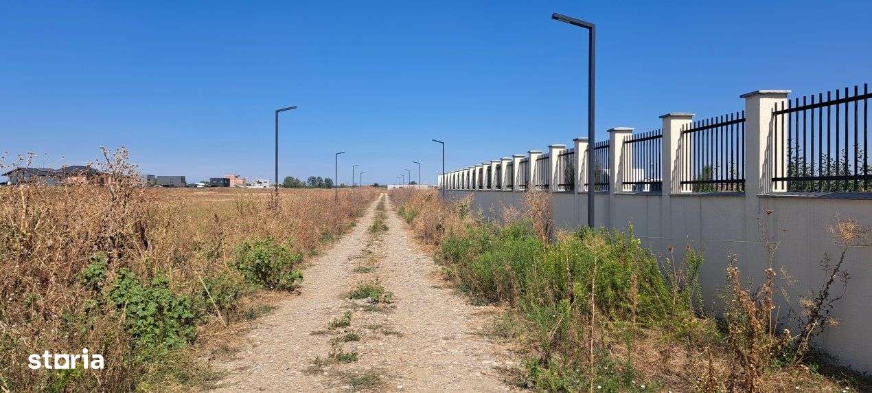 DIMIENI - ILFOV / STR. STRAJA / TEREN 1000 mp / 2000 mp-15