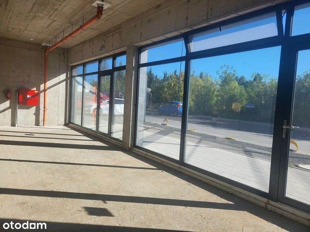 Łódź ul. Nowe Sady 430m2, medycyna, żłobek Wynajem - Pełny obrazek: 4/14