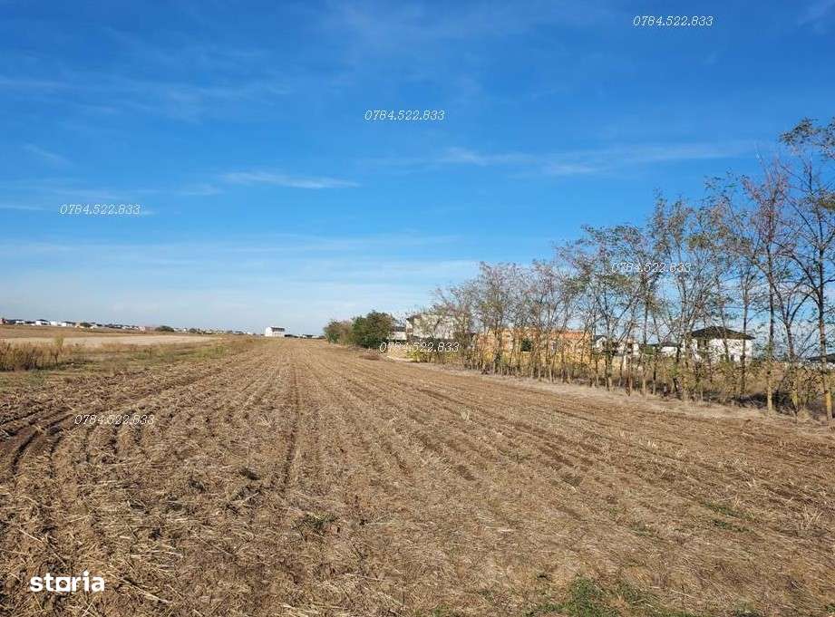 Teren intravilan 442 m² –  utilități incluse, Berceni IF - Imagine principală: 5/8