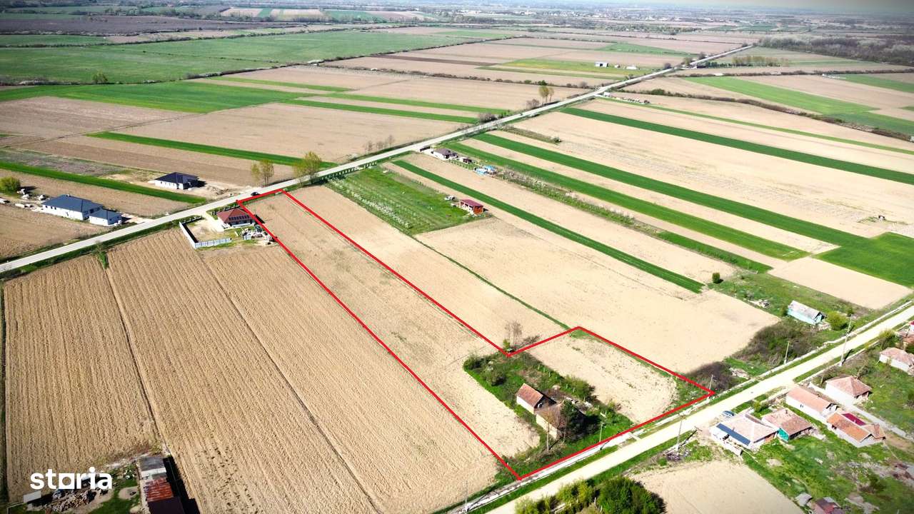 Teren Intravilan-7668mp-Ideal pentru parcelare - Imagine principală: 3/9