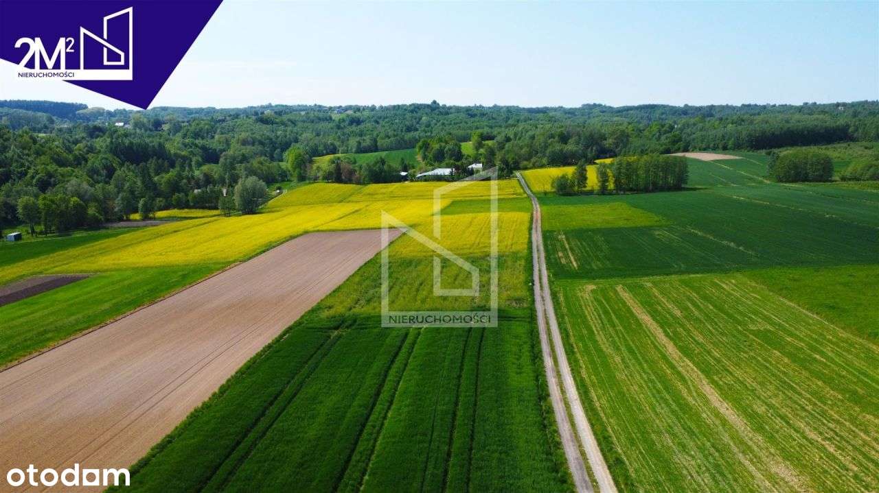 Działka rolna na sprzedaż Kraczkowa - Pełny obrazek: 4/4