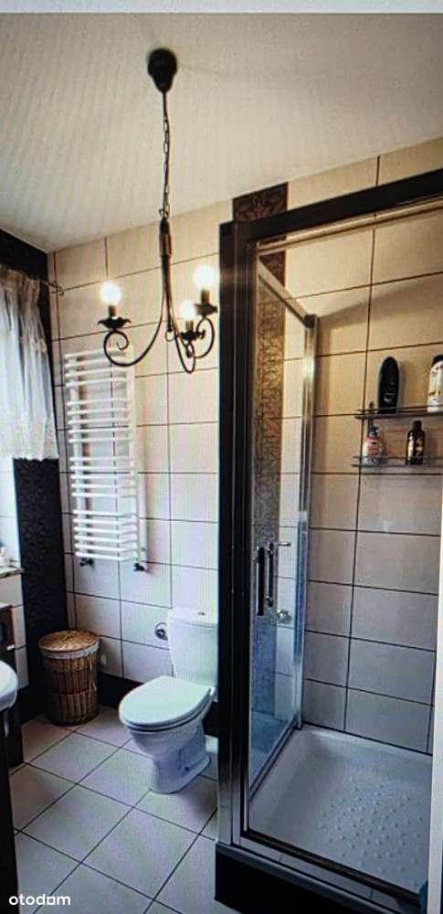 2 domy -Siedlec Trzebnicki, blisko lasu- dla rodziny wielopokoleniowej-19