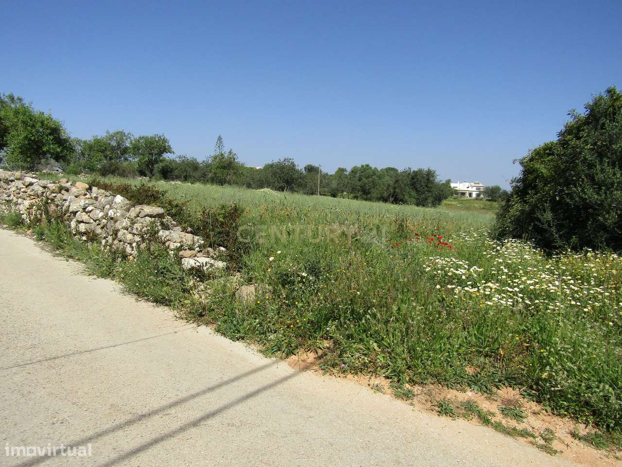 Terreno Rústico na Arroteia - Grande imagem: 2/6