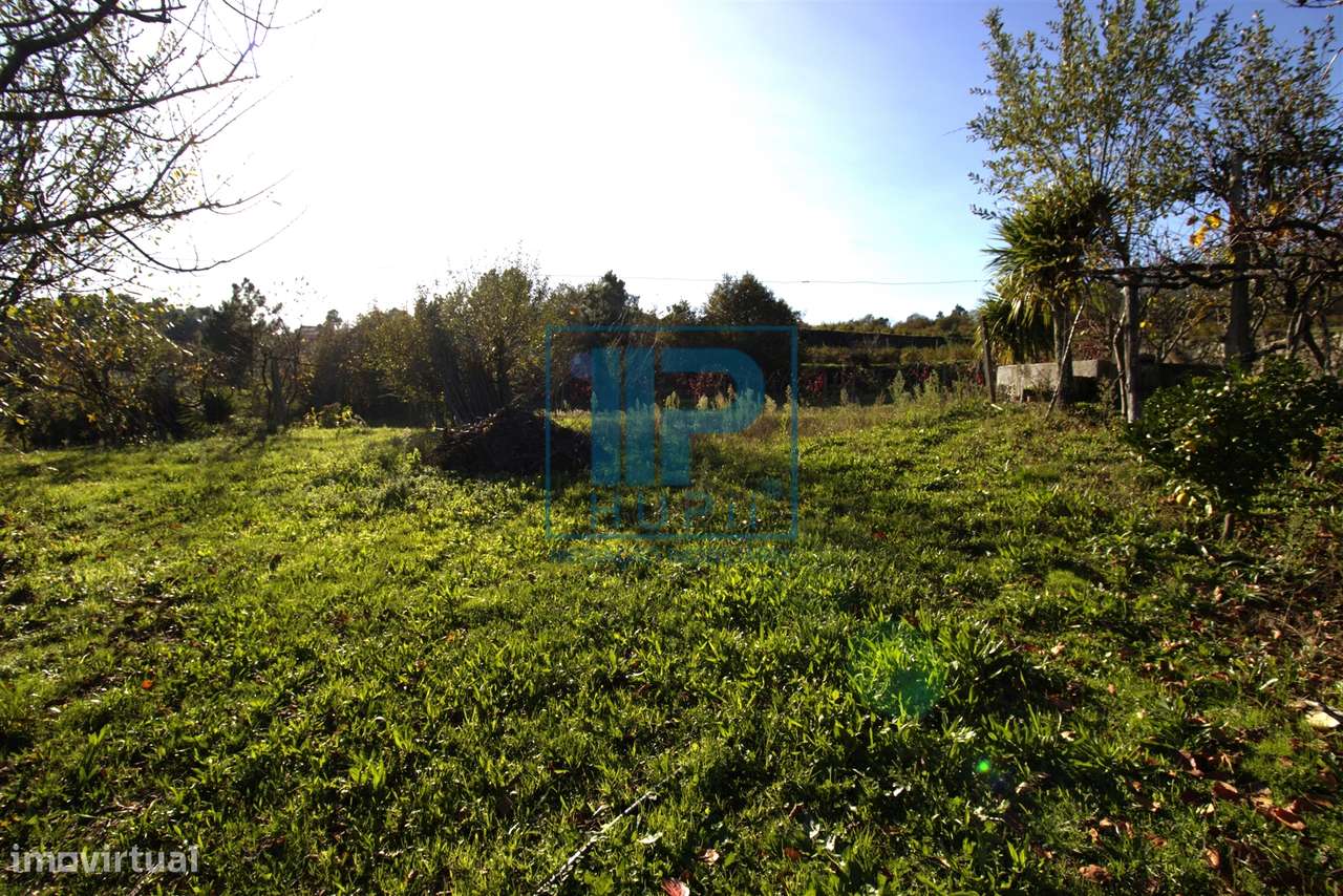 Quinta T3+1 Venda em Penhalonga e Paços de Gaiolo,Marco de Canaveses-25