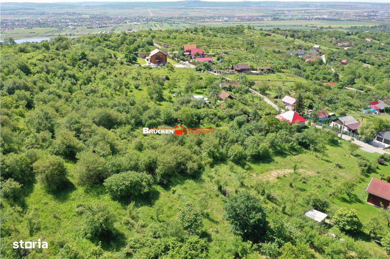 TEREN PENTRU CONSTRUCTIE REZIDENTIALA | 2878 MP | PODGORIA - Imagine principală: 4/5