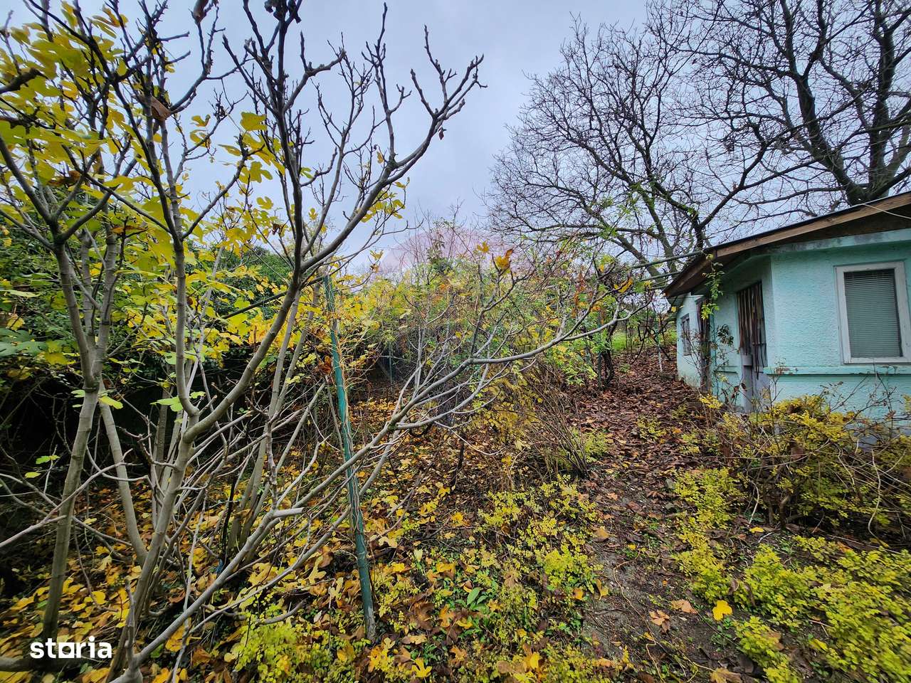 Teren 2200 mp + Casă, sat Frasinu, Giurgiu-4