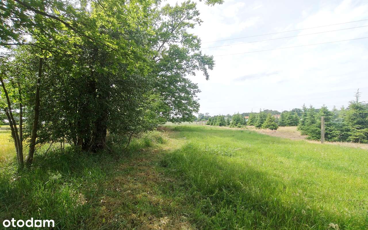 Działka z WZ blisko Nowego Tomyśla.