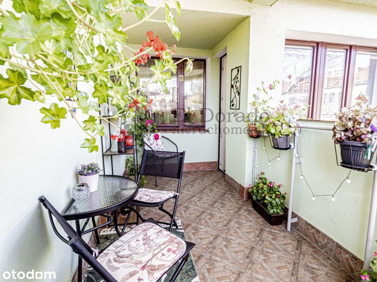 Przestronne mieszkanie z przepieknym balokem wśród-6