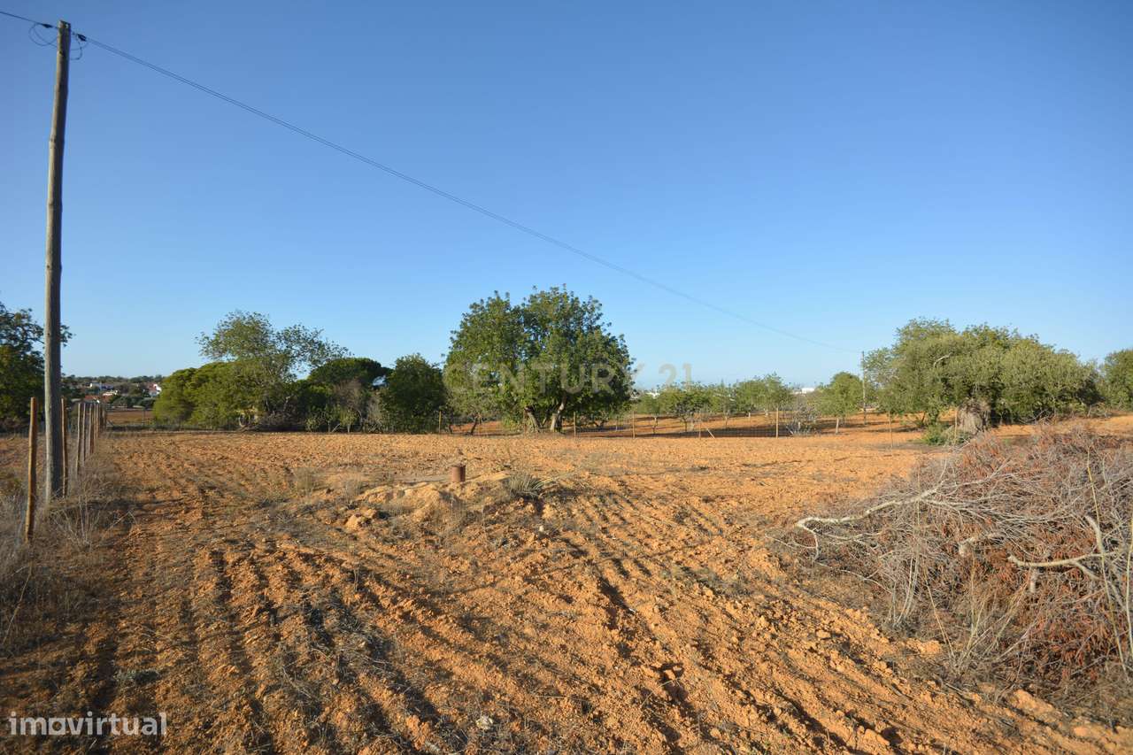 Quinta com 6930m2 localizada em Alpouvar, Albufeira - Grande imagem: 4/5