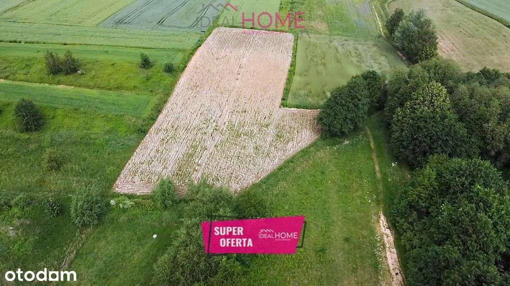 Działka na sprzedaż Słocina- 0,93ha - Pełny obrazek: 1/9