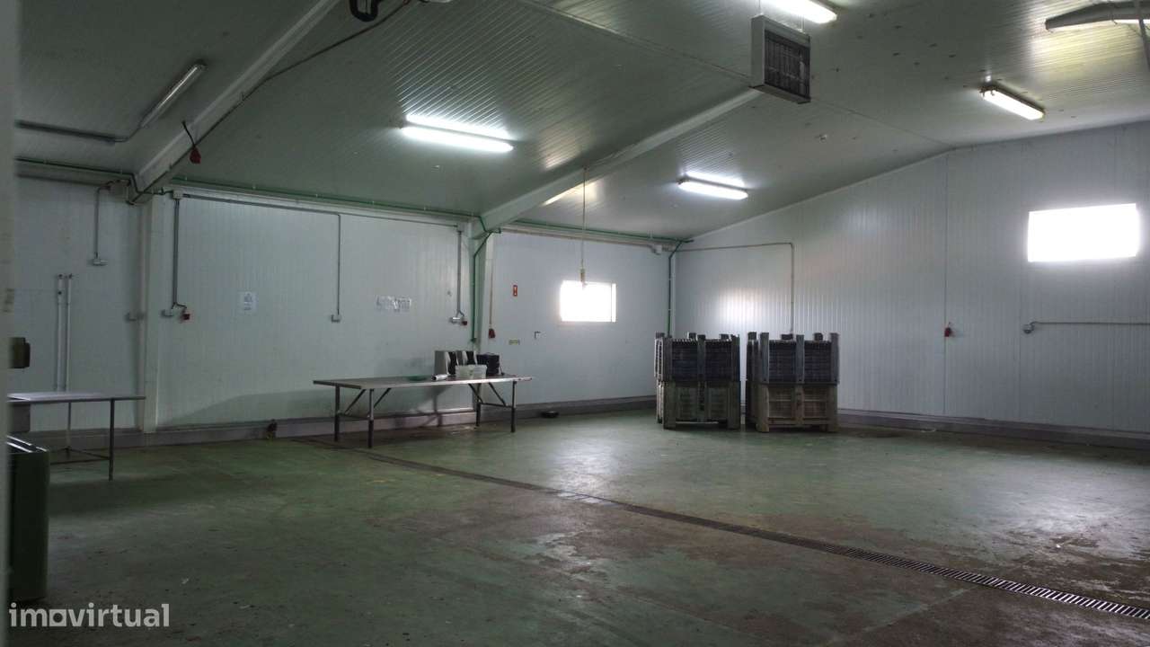 Armazém Industrial com Câmaras Frigoríficas – Lourinhã-11