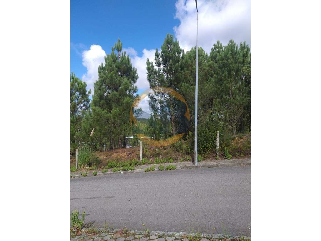 Lote Terreno Nogueira do Cravo - Grande imagem: 3/3