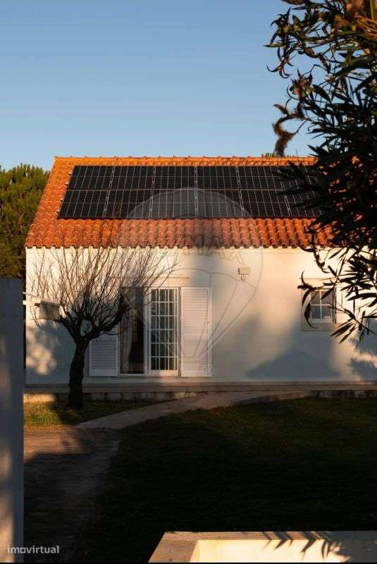 Quinta T5 para venda - Grande imagem: 5/49