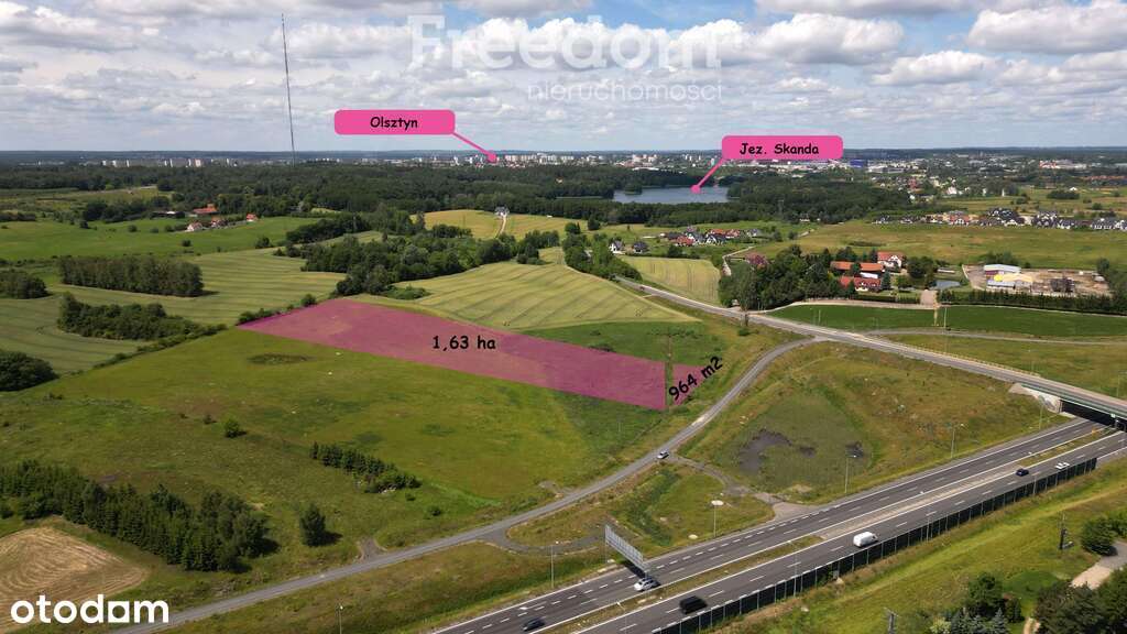 Inwestuj w Olsztynie! - Pełny obrazek: 4/5