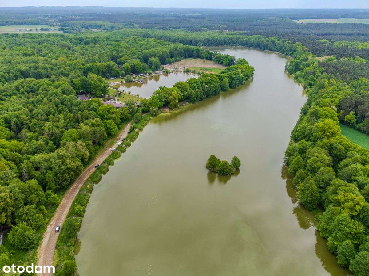 Działki turystyczno rekreacyjne w lesie-3