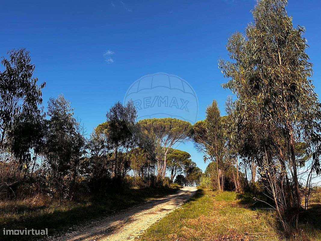 Terreno  para venda - Grande imagem: 4/6