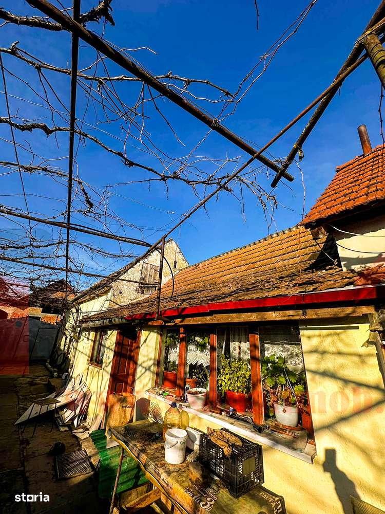 Casa in Bradu | 700 mp Teren | Acces Asfalt | Oportunitate Excelenta-10