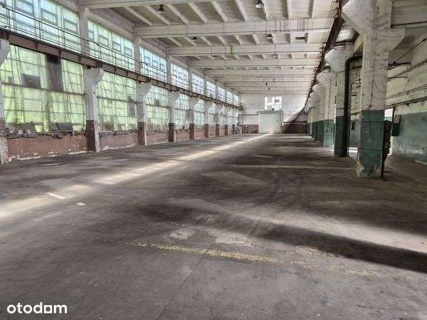 Lokal użytkowy, 5 024,50 m², Pionki-0