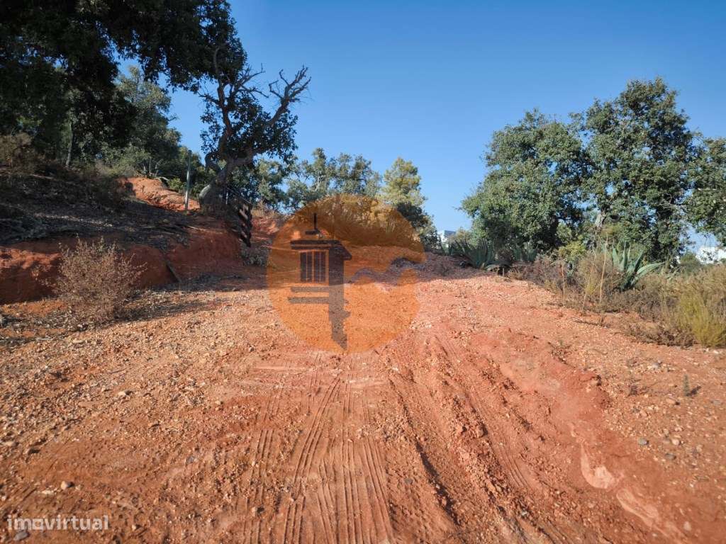 TERRENO COM 1.320 M2 - A POUCOS MINUTOS DA PRAIA - AZEDA - SÃO BART... - Grande imagem: 5/29