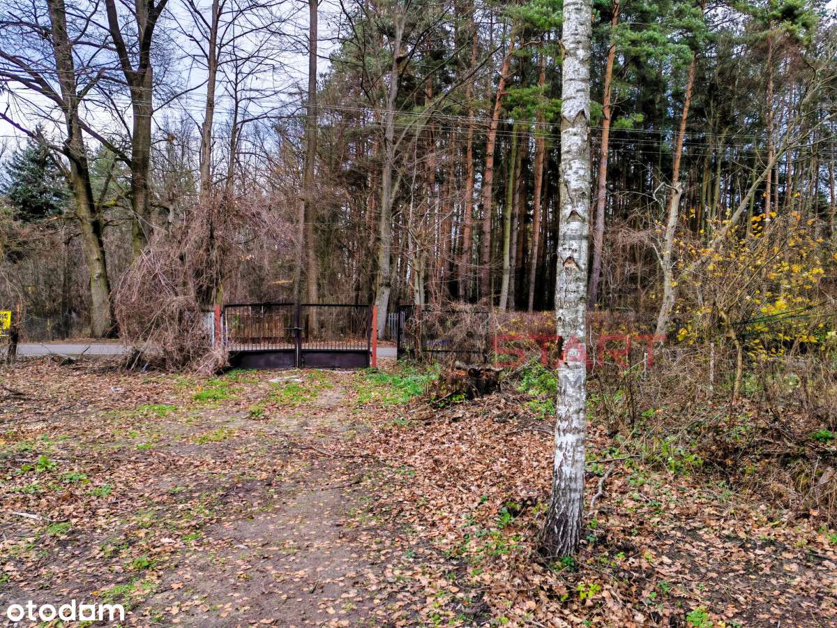 Urokliwa działka w idealnej lokalizacji - Pełny obrazek: 4/4