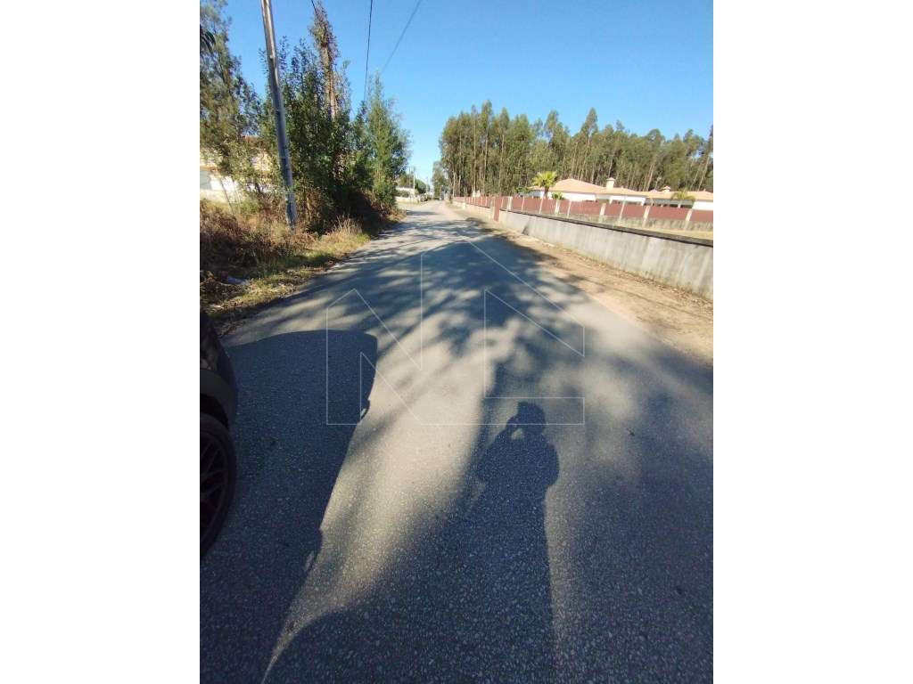 Terreno a 3 minutos de Águeda - Grande imagem: 4/7
