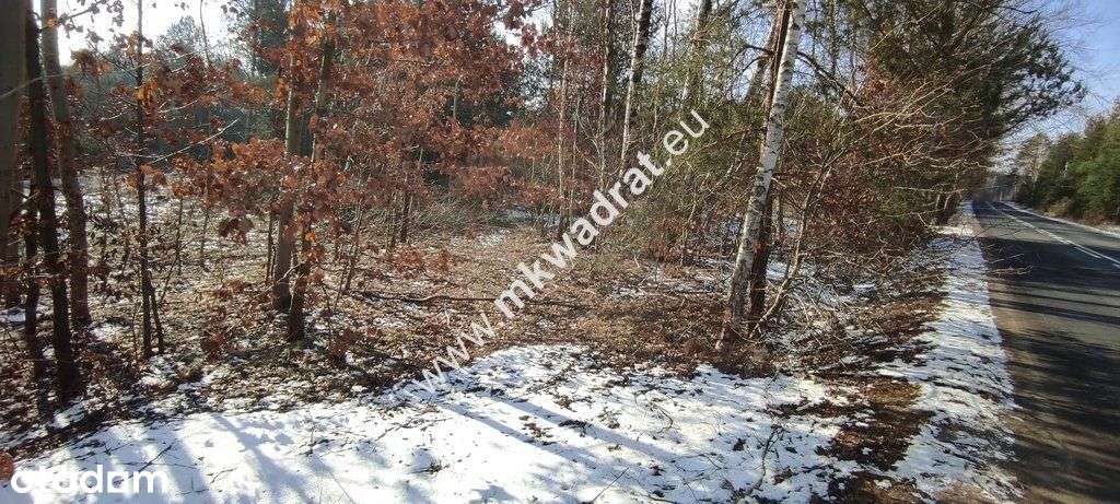 ⭐⭐⭐⭐⭐ Ładna zalesiona działka z Mpzp ⭐⭐⭐⭐⭐-3
