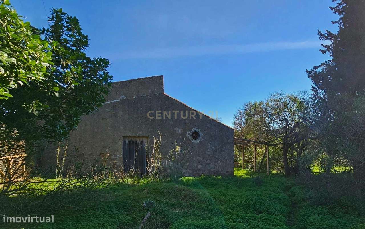 Quinta em Lagos, Praia da Luz,  46.000 m2, 2 casas e 2 Armazéns-14