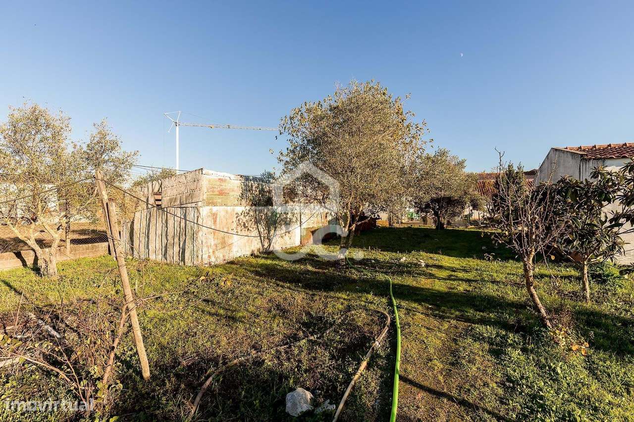 Terreno de  1.350 m² c/ Anexo de Apoio Agrícola | Canaviais, Évora-17
