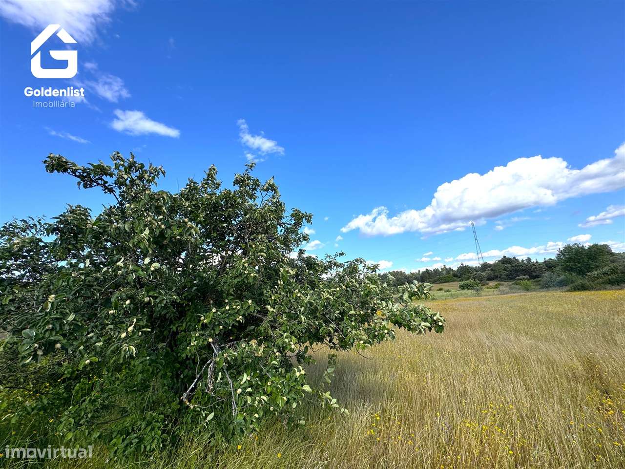 Terreno  Venda em Orca,Fundão-34