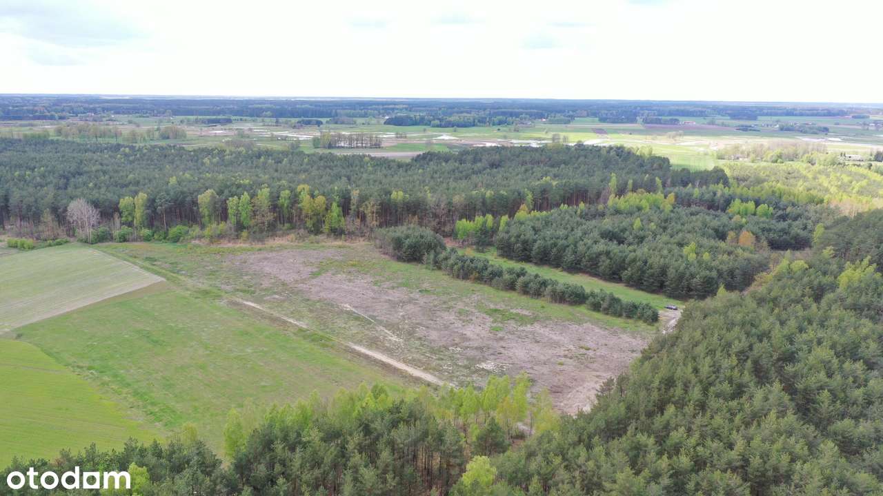 Grunty rolne  z potencjałem - Pełny obrazek: 4/9