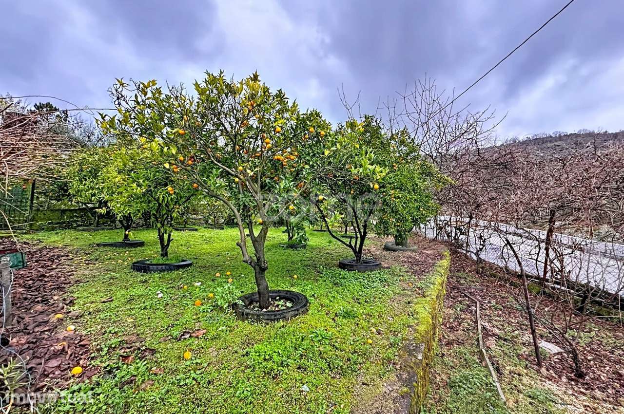 Moradia com Alma, Sol e Natureza — Um Refúgio Perfeito para Viver-29