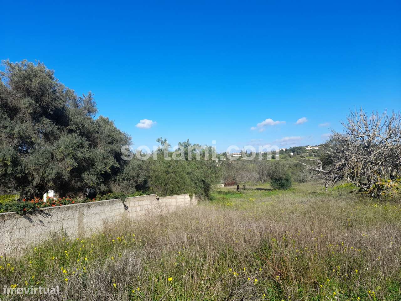 Terreno Rústico  Venda em Boliqueime,Loulé - Grande imagem: 3/6