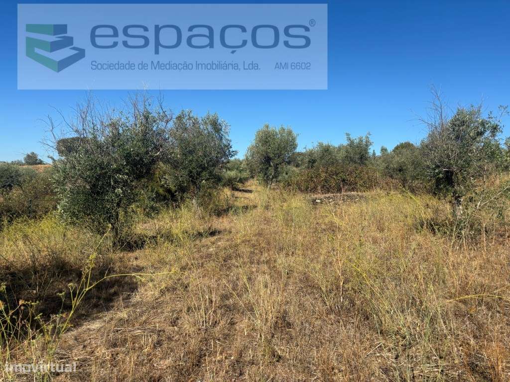 Moradia com terreno-6