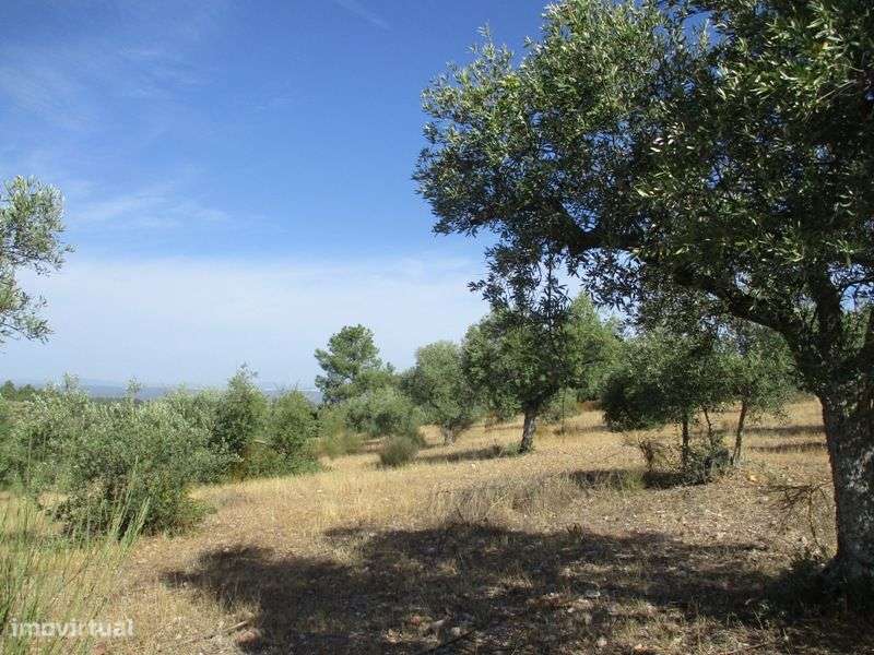 Terreno - Grande imagem: 5/16