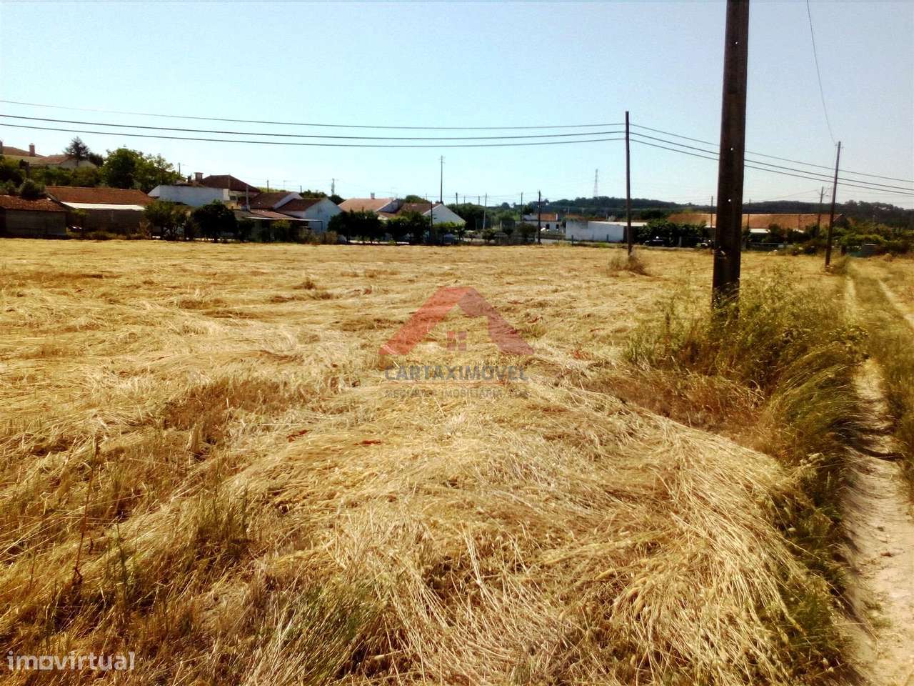 Quintinha  Venda em Pontével,Cartaxo - Grande imagem: 5/8