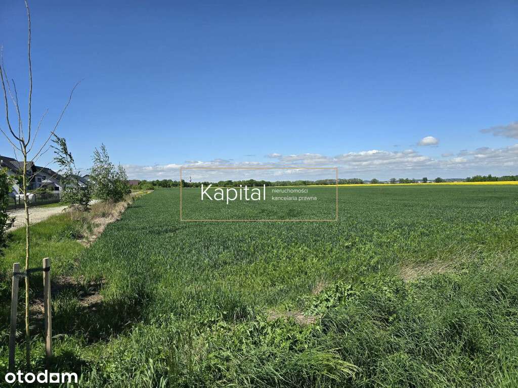 Wyjątkowa działka budowlana koło Świdnicy - Pełny obrazek: 4/7