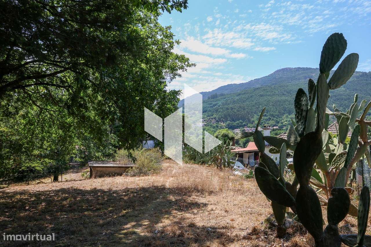 Quinta T6+3 Venda em Castelões,Tondela-32