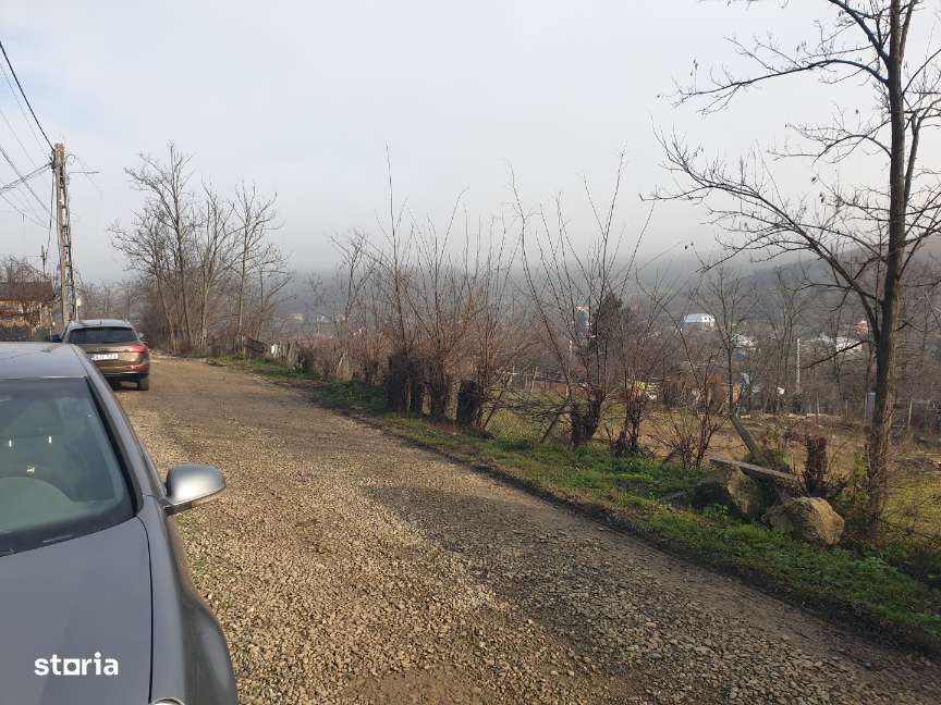 Vulturi ( Vanatori )  – IASI - Teren intravilan ideal constructie casa-6