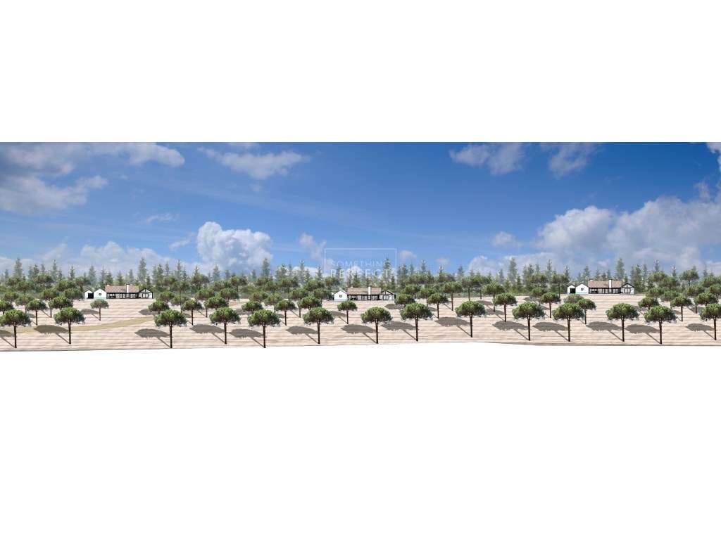 Comporta ATIS - Grande imagem: 2/10