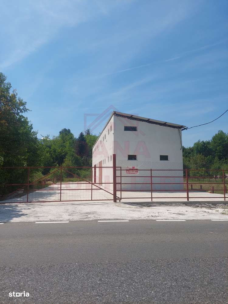 HALĂ DE VÂNZARE SAU ÎNCHIRIERE, ÎN  LOC.. BĂUȚAR, JUD. CARAȘ-SEVERIN - Imagine principală: 2/12
