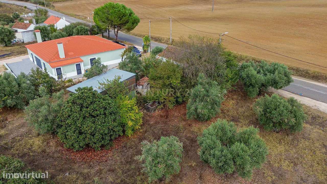 Moradia C/ Terreno Misto de Olival-8