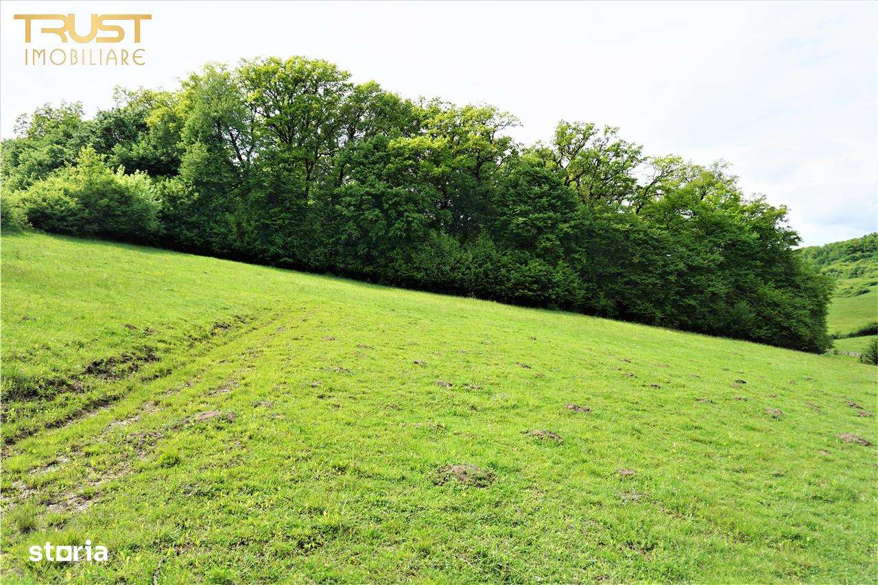 Teren intravilan Valea Castailor Bistrita - Imagine principală: 2/7