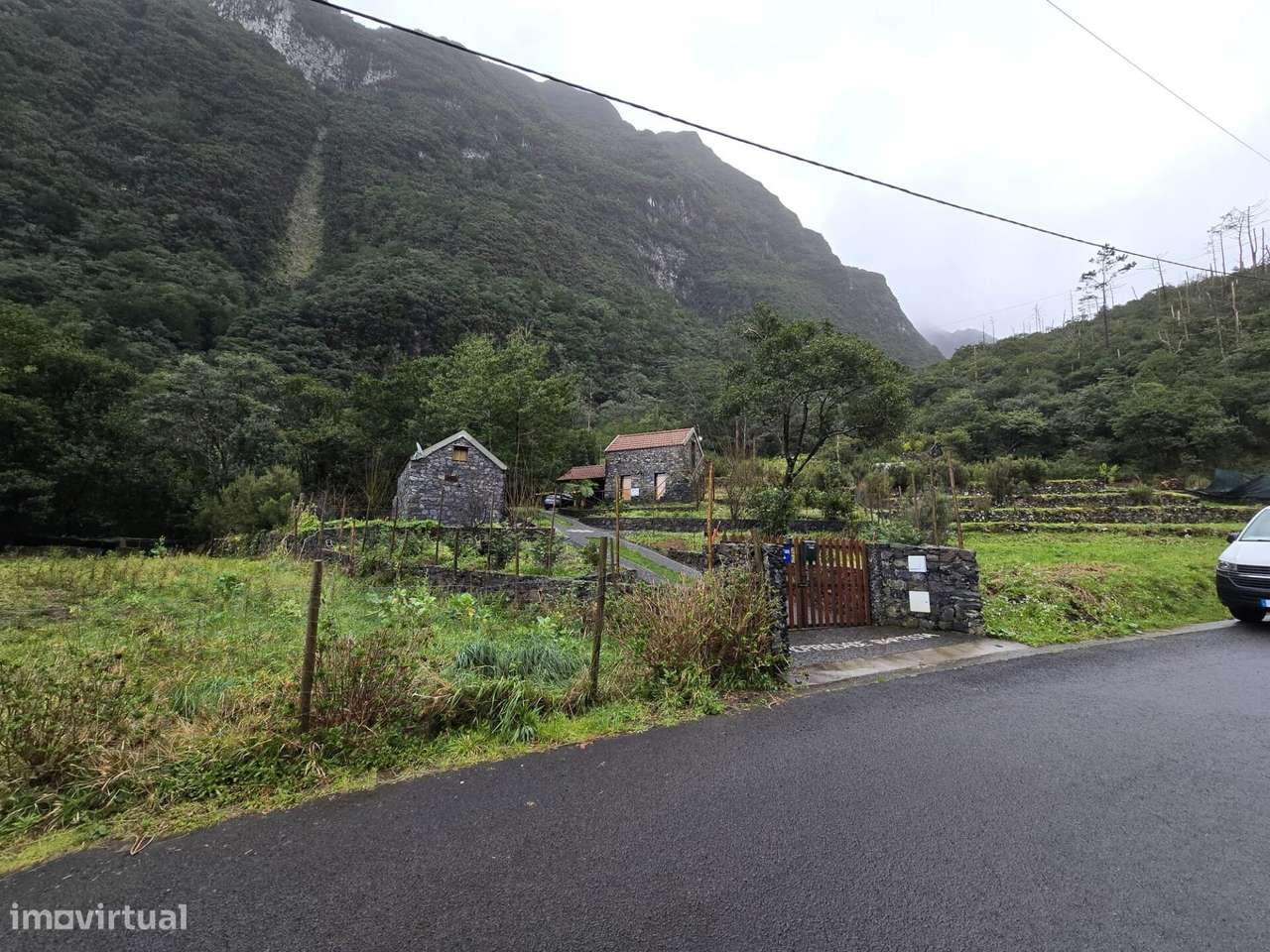 LOTE 1581M2 COM 3 PALHEIROS - Grande imagem: 5/15