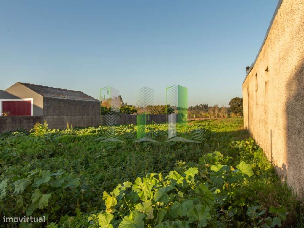 Lote de Terreno para Construção em Marvão, Cantanhede - Grande imagem: 4/13
