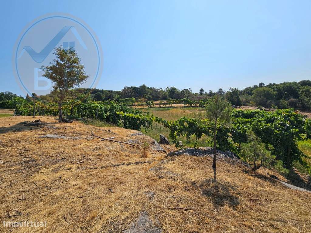 Quinta com Moradia T4 em Leiradas, Rio Douro - Cabeceiras de Basto-58