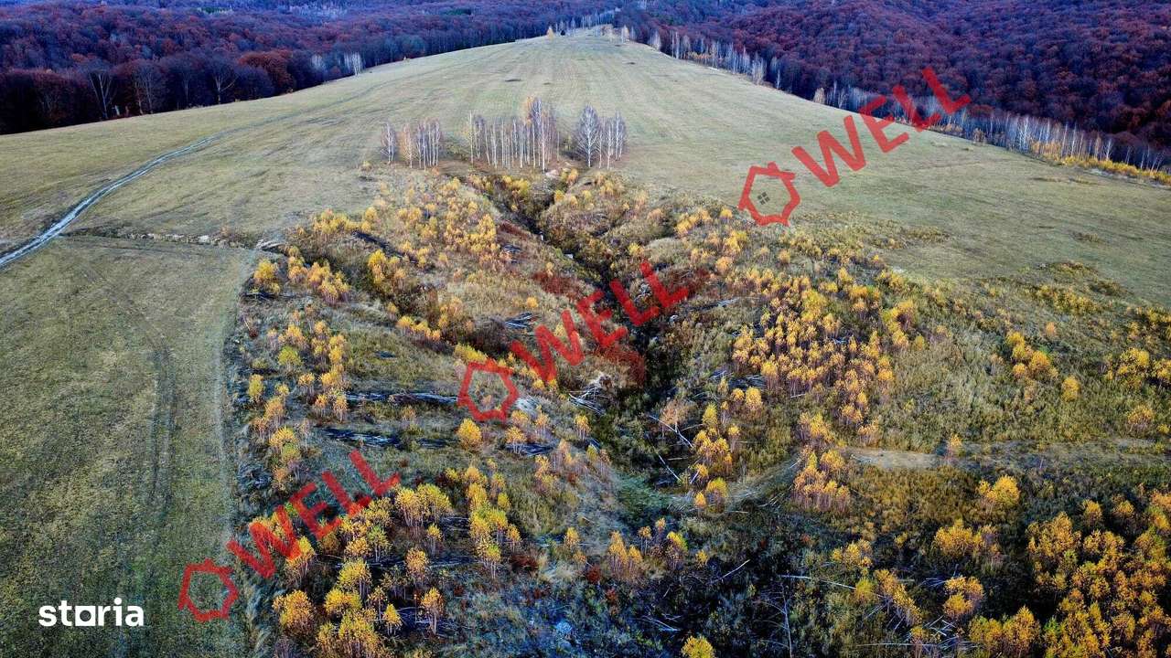 De vânzare teren extravilan la periferia localității Bățanii Mari - Imagine principală: 4/9