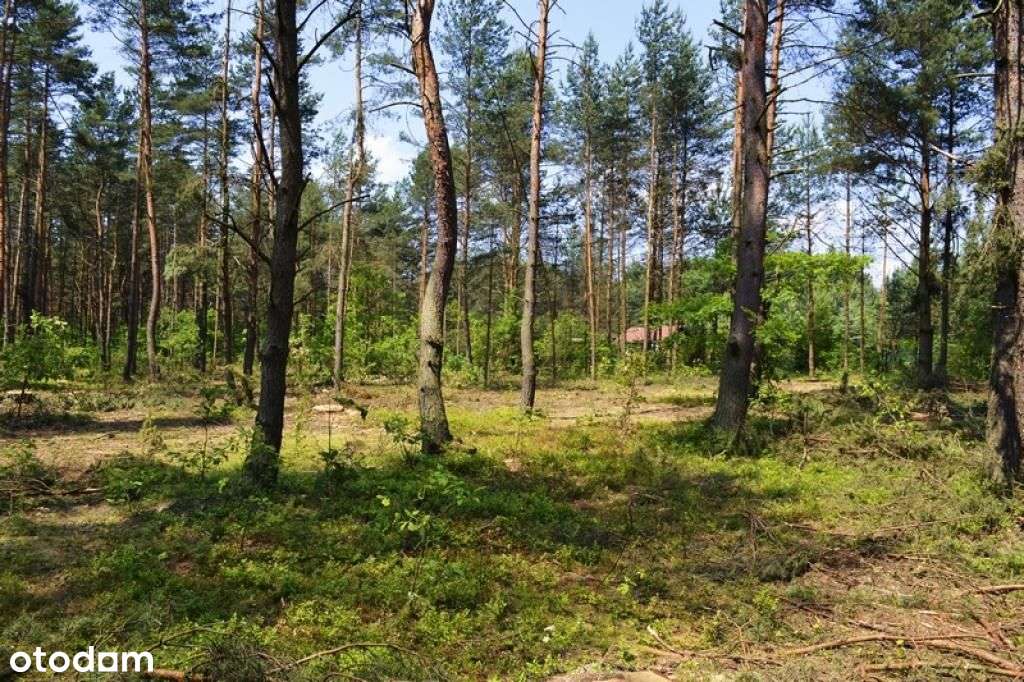 Działka, 1 000 m², Żarki-Letnisko - Pełny obrazek: 5/12