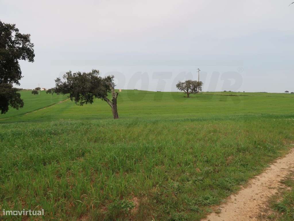 Quinta em excelente localização-7