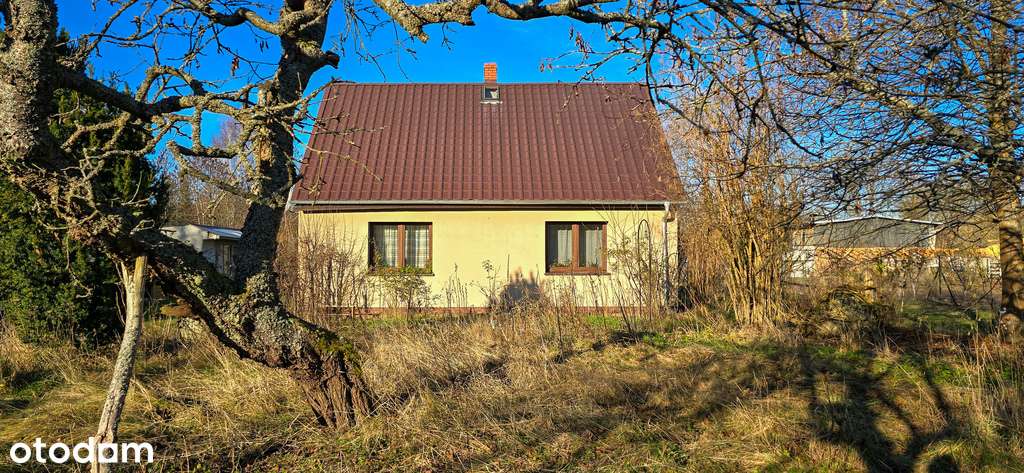 Dom w otoczeniu przyrody, Borki- działka 8497 m2-14